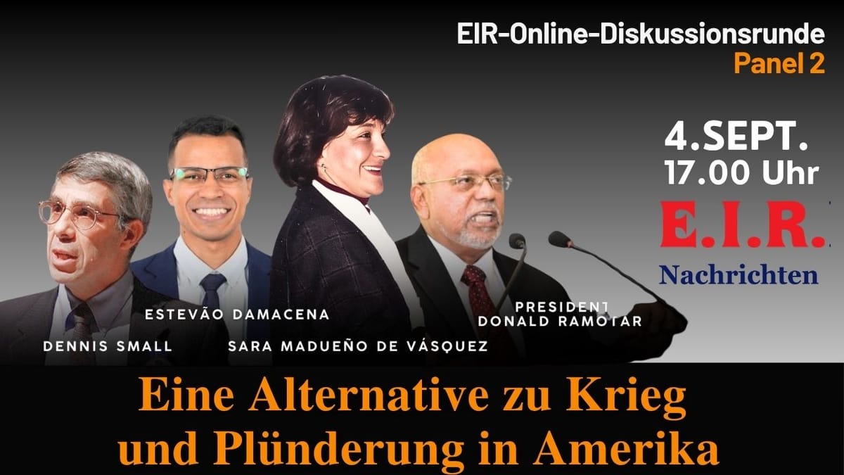 EIR-Diskussionsrunde: Eine Alternative zum Wahnsinn